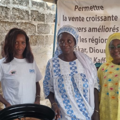 remise de bonus de performance LME Dakar