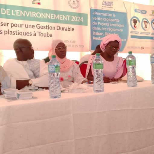 Journée de l'environnement